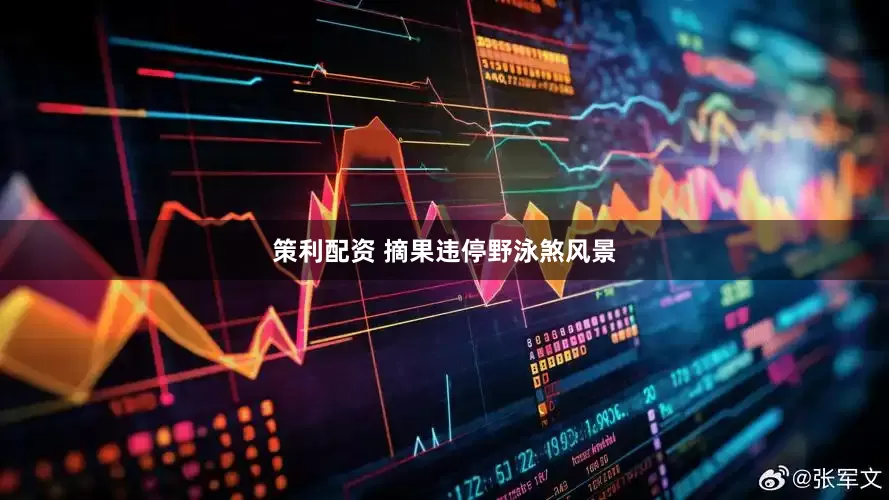 策利配资 摘果违停野泳煞风景