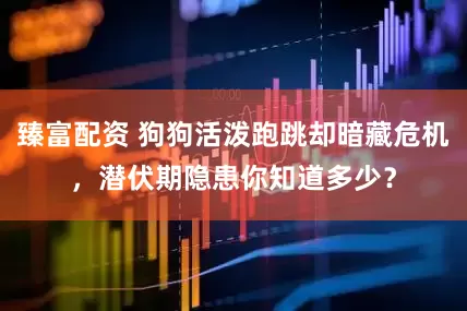 臻富配资 狗狗活泼跑跳却暗藏危机，潜伏期隐患你知道多少？