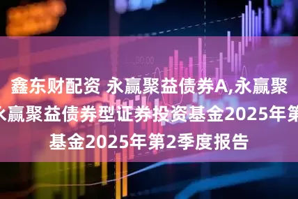 鑫东财配资 永赢聚益债券A,永赢聚益债券C: 永赢聚益债券型证券投资基金2025年第2季度报告
