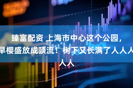 臻富配资 上海市中心这个公园，早樱盛放成顶流！树下又长满了人人人