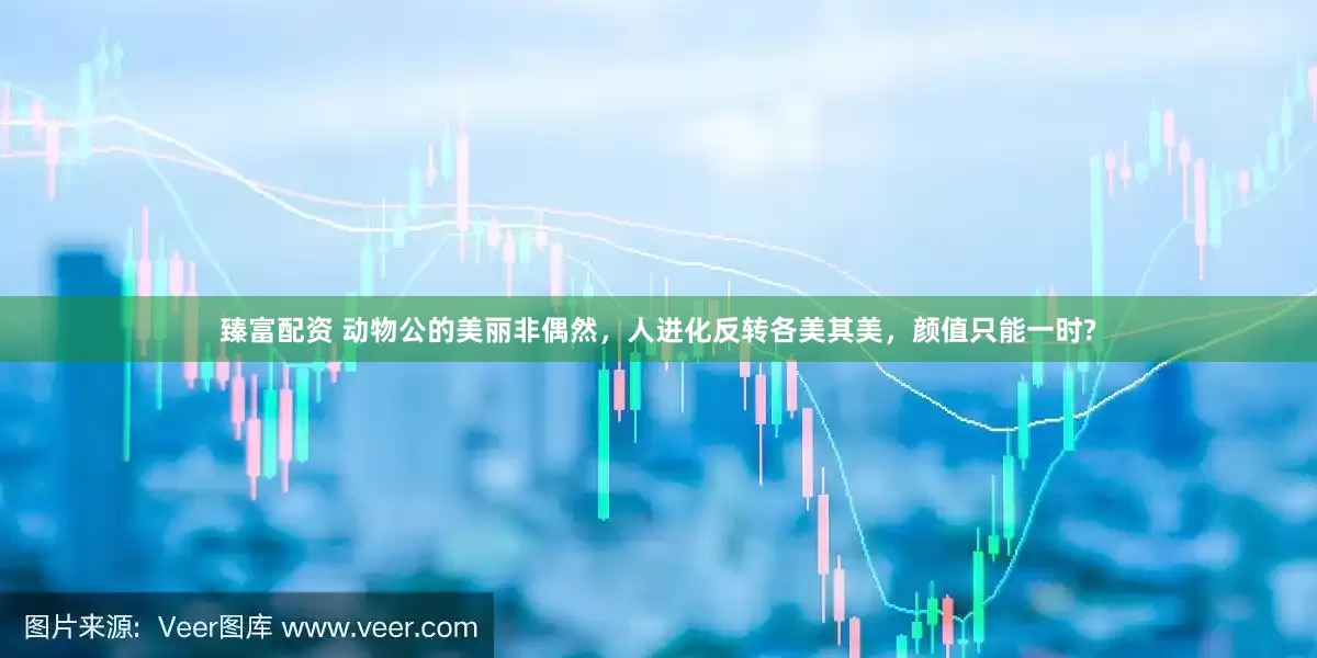 臻富配资 动物公的美丽非偶然，人进化反转各美其美，颜值只能一时?