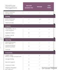 erp小金刚pro专业大比拼 dynamics,netsuite和od